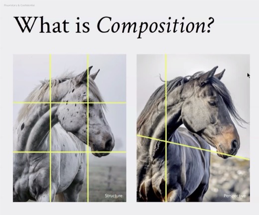 Slide "What is Composition?" with rule-of-thirds grid overlays on three horse photos