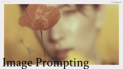 Section title slide "Image Prompting" over poppy and woman photograph