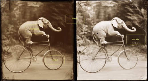 Two sepia tintype-style variants of an elephant riding a bicycle, side by side