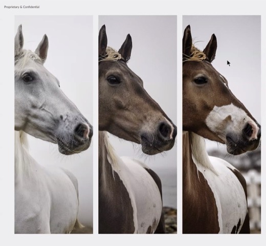 Full five-image horse evolution strip recapping the command-based iteration journey