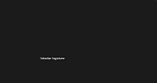 Black screen with "Sebastian Sagastume" name label, camera off