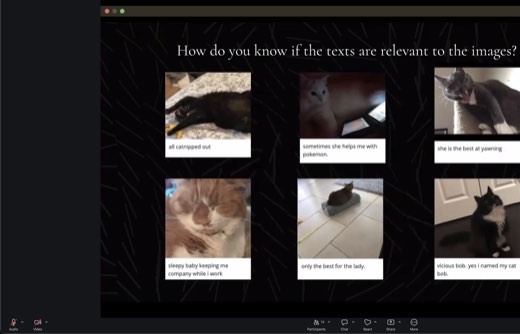 Slide: "How do you know if the texts are relevant to the images?" Six cat photos with junk captions ("all catnipped out," "sometimes she helps me...