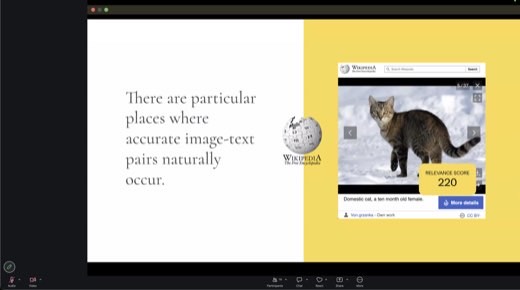 Slide: "There are particular places where accurate image-text pairs naturally occur": Wikipedia example, "Domestic cat, a ten month old female,"...