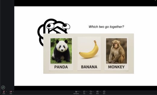 Slide: "Which two go together?" Panda, banana, monkey: the classic cross-cultural cognition test (relational vs categorical thinking).