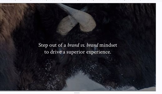 A slide over a bison photograph reads step out of a brand vs brand mindset to drive a superior experience.