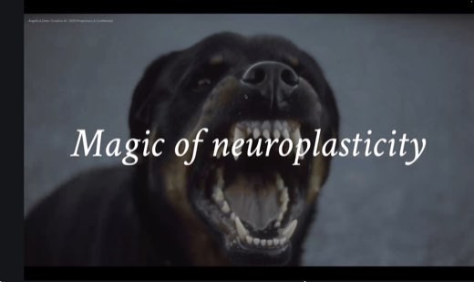 Slide: "Magic of neuroplasticity" over a close-up photo of a snarling dog baring its teeth.