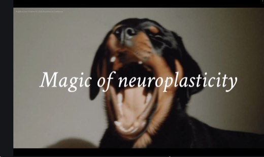 A slide titled "Copy Craft" repurposed with the title "Magic of neuroplasticity" over a photo of a barking dog, credited to Angella and Dom of Creative AI.