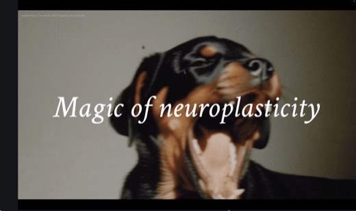 A slide reading "Magic of neuroplasticity" over a close-up photo of a dog's head, credited to Angella & Dom / Creative AI.