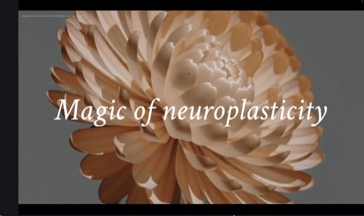 A slide reading "Magic of neuroplasticity" over a close-up photo of an orange chrysanthemum flower, credited to Angella and Dom of Creative AI.