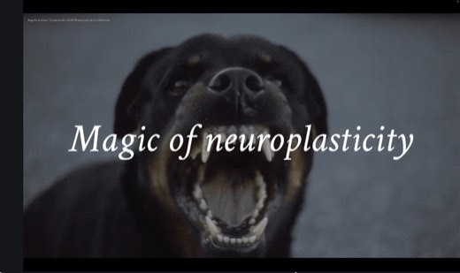 A slide reading "Magic of neuroplasticity" over a photo of a snarling Rottweiler baring its teeth, credited to Angella & Dom / Creative AI.